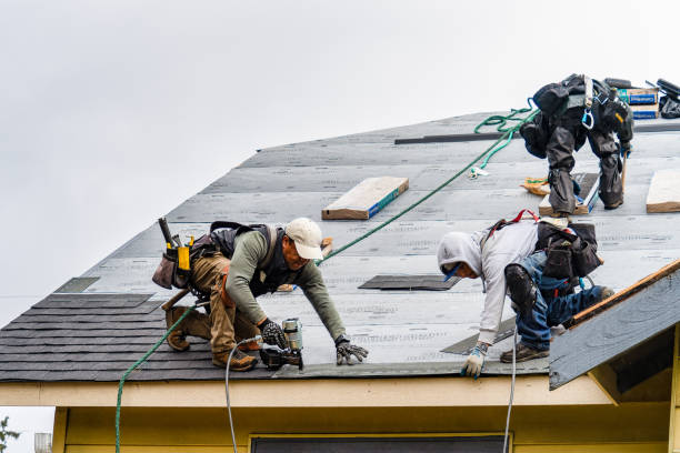 Professional Gutter Installation technician working in Niwot, CO